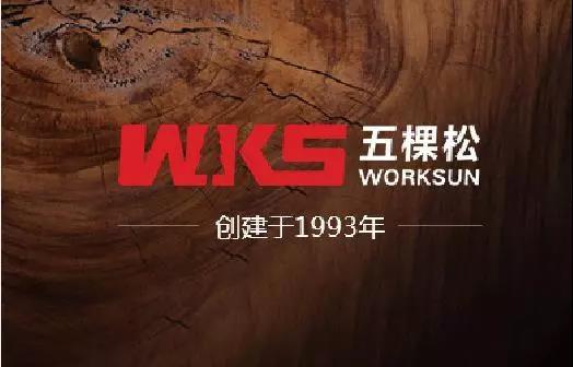 五棵松集團(tuán)助力滄州新地標(biāo)---京貴大廈